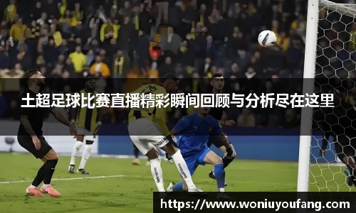 yy易游体育网址