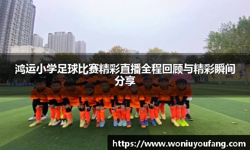 米乐yy易游体育