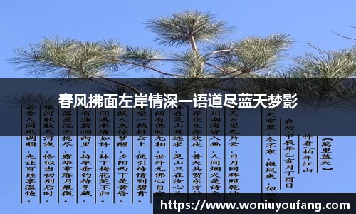 春风拂面左岸情深一语道尽蓝天梦影