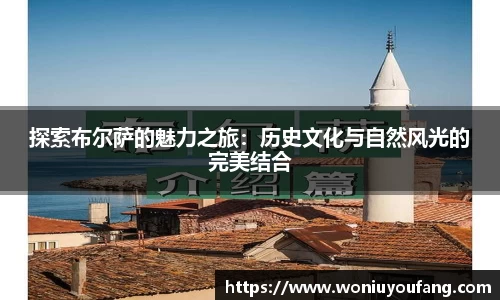 探索布尔萨的魅力之旅：历史文化与自然风光的完美结合
