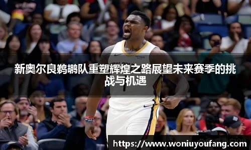 新奥尔良鹈鹕队重塑辉煌之路展望未来赛季的挑战与机遇