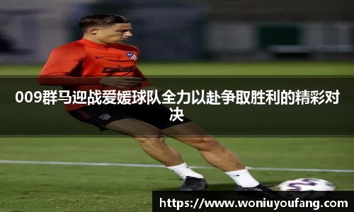 009群马迎战爱媛球队全力以赴争取胜利的精彩对决