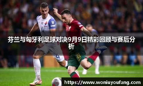 芬兰与匈牙利足球对决9月9日精彩回顾与赛后分析